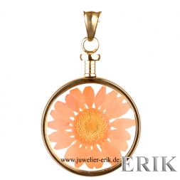 blumenkind Anhänger GOLD mit echter Chrysanthemen-Blüte Apriko